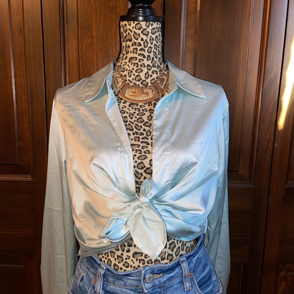 Windsor Satin Tie-Front Blouse in Light Blue